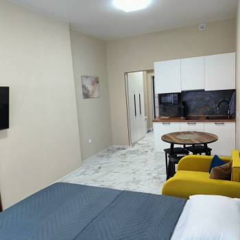 Продается 1-комнатная квартира, 25,1 м²