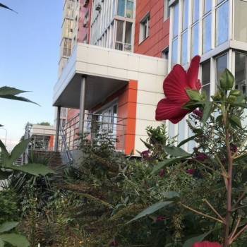 Продается 3-х комнатная квартира, 82 м²