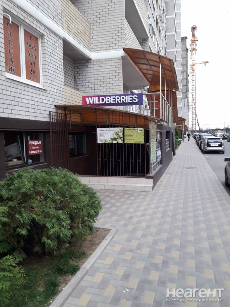 Фотография №9