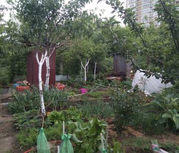Продается Дом, 43,5 м²