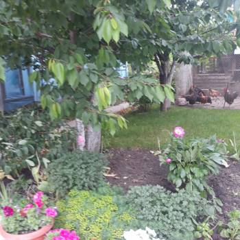 Продается Дом, 140 м²