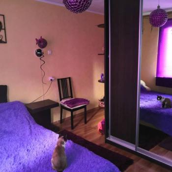 Продается 3-х комнатная квартира, 62 м²