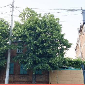 Продается Участок, 440 м²