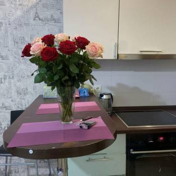 Сдается 1-комнатная квартира, 26 м²