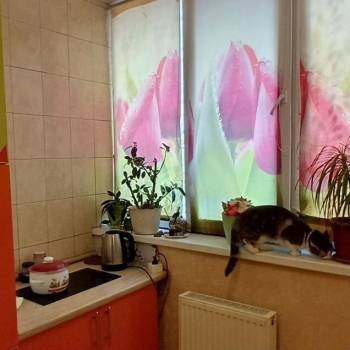 Продается 1-комнатная квартира, 33,7 м²