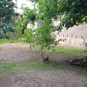 Продается Участок, 300 м²