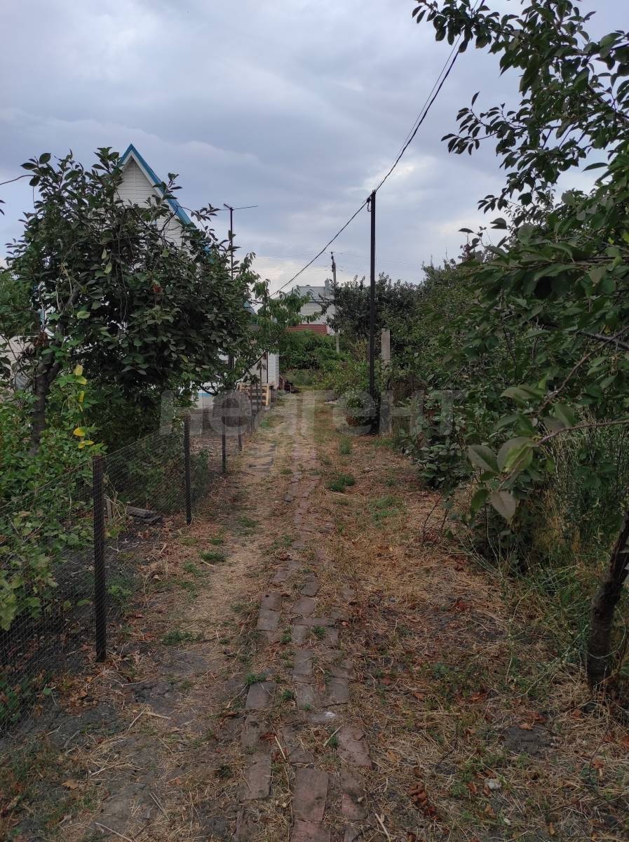 Фотография №11