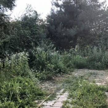 Сдается Дом, 80 м²