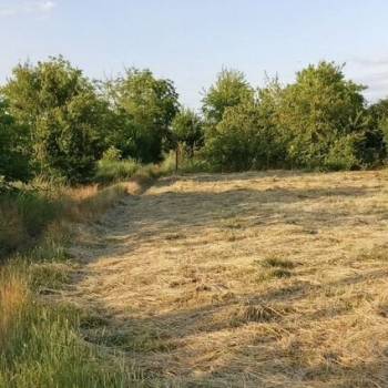 Продается Участок, 580 м²