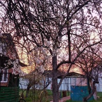 Продается Дом, 82 м²
