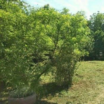 Продается Участок, 400 м²
