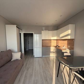 Сдается 1-комнатная квартира, 24 м²