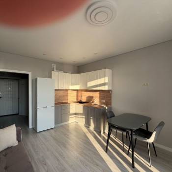 Сдается 1-комнатная квартира, 24 м²