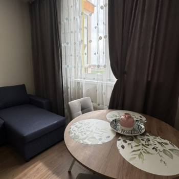 Сдается 1-комнатная квартира, 23,8 м²