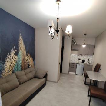 Сдается 1-комнатная квартира, 20,2 м²