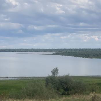Сдается Дом, 80 м²