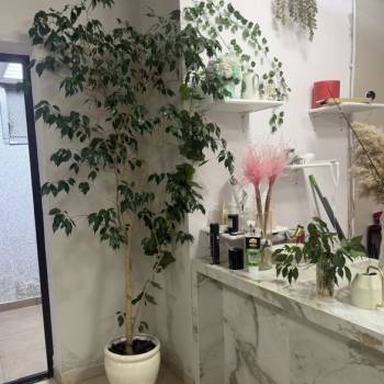 Сдается Офис, 41 м²