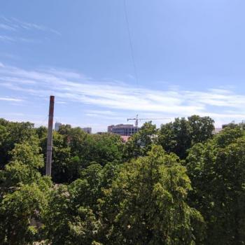 Сдается 2-х комнатная квартира, 50 м²
