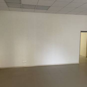 Сдается Нежилое помещение, 55 м²