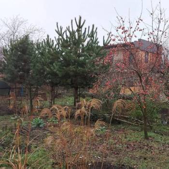 Продается Участок, 400 м²