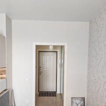 Сдается 1-комнатная квартира, 24,1 м²
