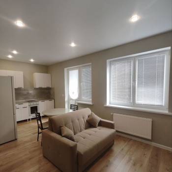 Сдается 1-комнатная квартира, 29,1 м²