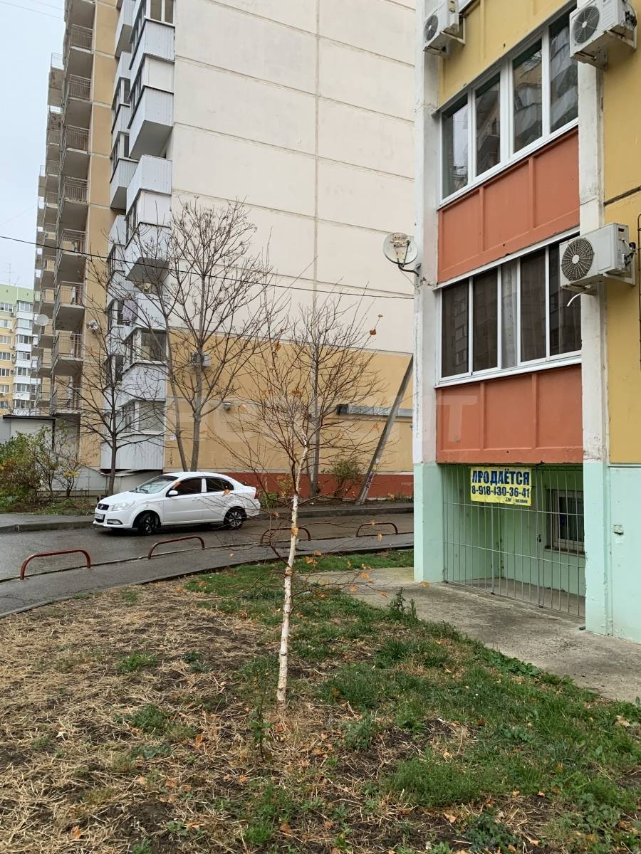 Фотография №7