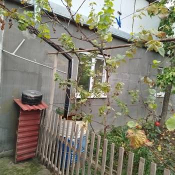 Сдается Дом, 40 м²