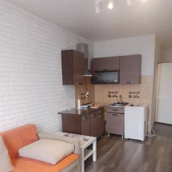 Сдается 1-комнатная квартира, 23,7 м²