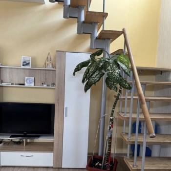 Сдается Дом, 120 м²