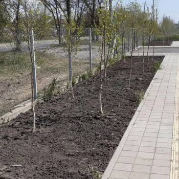 Сдается Нежилое помещение, 486 м²