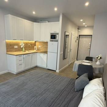 Сдается 1-комнатная квартира, 27 м²
