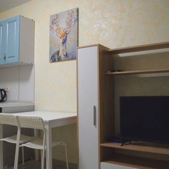 Продается 1-комнатная квартира, 17,1 м²