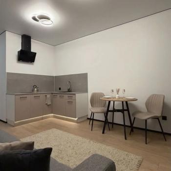 Сдается 1-комнатная квартира, 25,3 м²