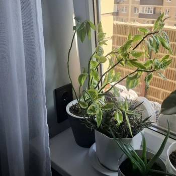 Продается 1-комнатная квартира, 40,5 м²