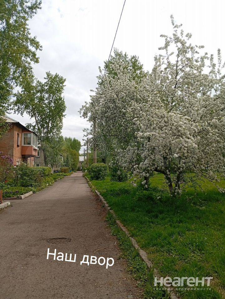 Фотография №15