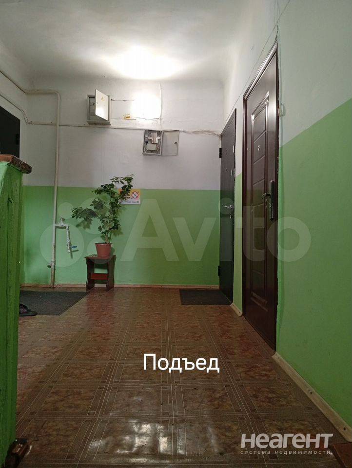 Фотография №16