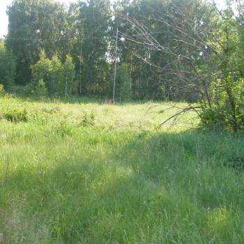 Продается Участок, 1000 м²