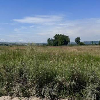 Продается Участок, 25000 м²