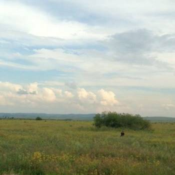 Продается Участок, 40000 м²
