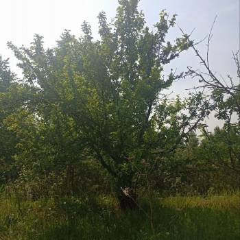 Продается Участок, 810 м²