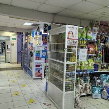 Сдается Нежилое помещение, 32,5 м²