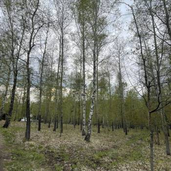Продается Участок, 600 м²