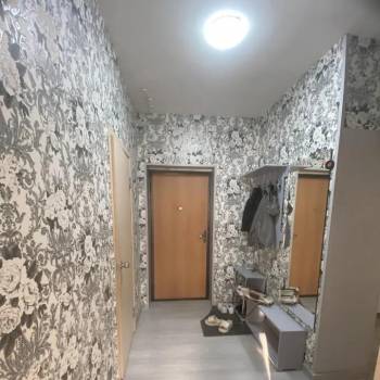 Сдается Многокомнатная квартира, 50 м²