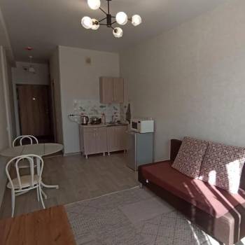 Сдается 1-комнатная квартира, 25,4 м²