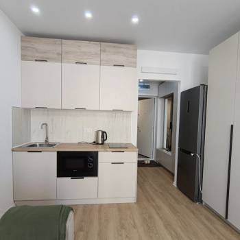 Сдается 1-комнатная квартира, 19,6 м²
