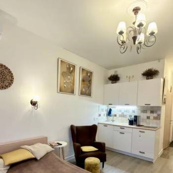 Продается 1-комнатная квартира, 23,7 м²