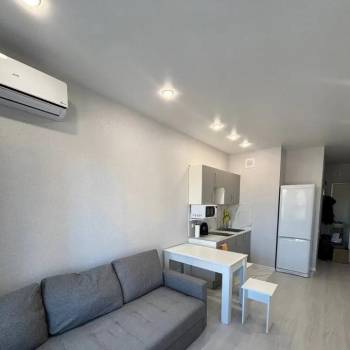 Сдается 1-комнатная квартира, 24,4 м²