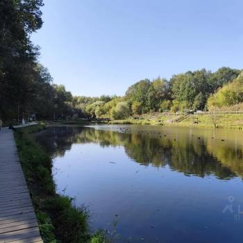 Сдается 1-комнатная квартира, 24,4 м²