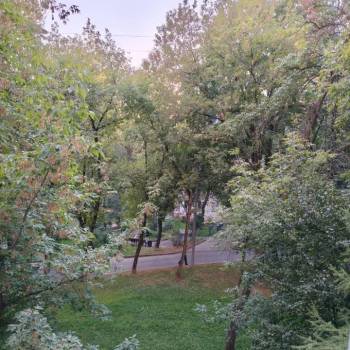 Сдается 1-комнатная квартира, 31,3 м²